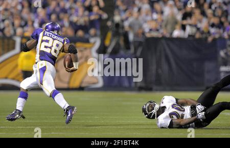 Adrian Peterson #28 of the Minnesota Vikings rushes Stock Photo - Alamy