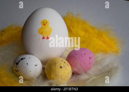 Fun eggs for Easter holiday. One organic egg with a cute yellow chicken painted on it with chocolate Easter eggs in various colors infront of it. Stock Photo