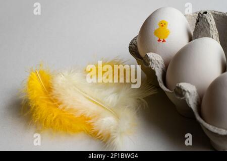 Easter eggs in egg carton and white and yellow feathers. Stock Photo