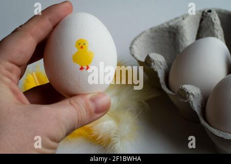 Hand holding up an egg that has a cute yellow chicken painted on it. Egg for Easter breakfast. Stock Photo