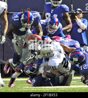 Oakland Raiders #23 Corner Back Jonathan Holland Fumbles. The New York  Giants defeated the Oakland Raiders 44-7 at Giants Stadium in Rutherford,  New Jersey. (Credit Image: © Anthony Gruppuso/Southcreek  Global/ZUMApress.com Stock Photo 