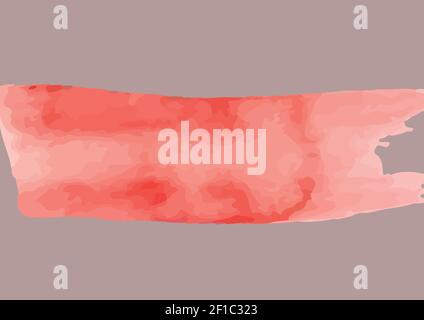 Composition of grey background with pink horizontal paint brushstroke Stock Photo