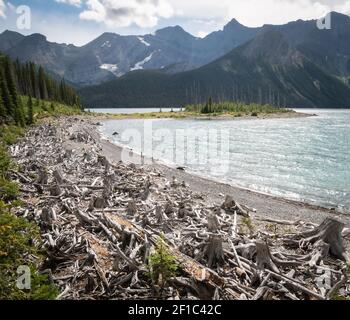 Forest, mountains and lake shore scenery shot at Upper Kananaskis Lake trail, Alberta, Canada Stock Photo