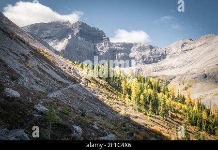 Fall in Canadian Rockies, slopes with colourful golden larches surrounded by mountains, shot on Galatea Lakes trail in Kananaskis, Alberta, Canada Stock Photo