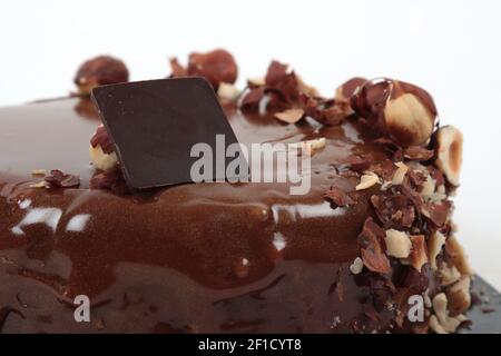Artisanal chocolate hazelnut cake on a white background Stock Photo