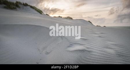 White sand dunes scenery shot during sunset on Wharariki Beach, New Zealand Stock Photo