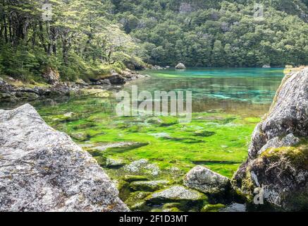 Pristine alpine lake with amazing colors, shot at Nelson Lakes National Park, New Zealand Stock Photo