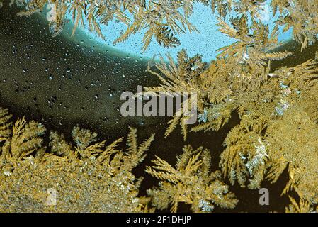 Ice crystals forming on a glass plate. Ice flowers on a yellow circle of light. Frost on the glass. Abstract background with shining sun, tiny water d Stock Photo