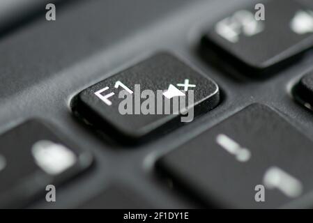 F1 and mute volume key on a laptop keyboard Stock Photo