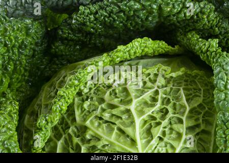 Fresh Savoy cabbage isolated on a white background close up. Healthy natural organic diet concept Stock Photo