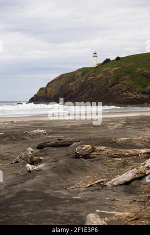 Pacific Ocean West Coast Beach Driftwood North Head Lighthouse