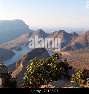 In  south africa    river canyon  plant  and water Stock Photo