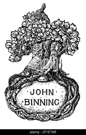 lizard on trun of tree with roots creating frame bookplate designed for John Binning by Joseph W Simpson Stock Photo