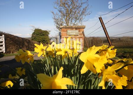 Whiteleys Farm, Maybole, South Ayrshire , Scotland, UK. The farm hjas now been taken over by a charity known as Whiteleys Retreat which provides free therapeutic short breaks for children, young people and their families with cancer and life altering illnesses. Image show the farm in spring time Stock Photo