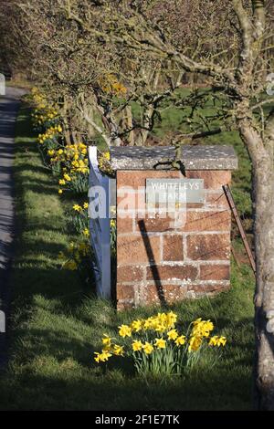 Whiteleys Farm, Maybole, South Ayrshire , Scotland, UK. The farm hjas now been taken over by a charity known as Whiteleys Retreat which provides free therapeutic short breaks for children, young people and their families with cancer and life altering illnesses. Image show the farm in spring time Stock Photo