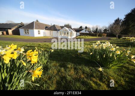 Whiteleys Farm, Maybole, South Ayrshire , Scotland, UK. The farm hjas now been taken over by a charity known as Whiteleys Retreat which provides free therapeutic short breaks for children, young people and their families with cancer and life altering illnesses. Image show the farm in spring time Stock Photo