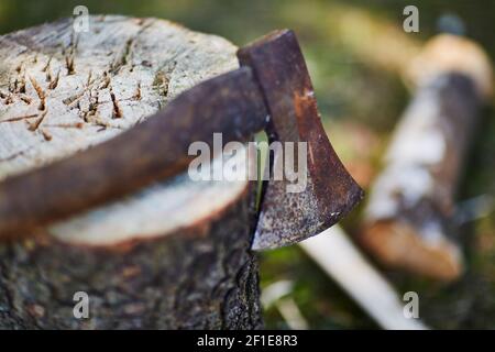 An axe laying on a tree stump outdoors in nature Stock Photo