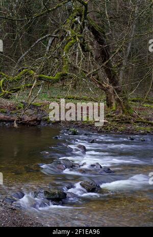 Stepping stones across the Eden Water river below Stichill Linn in the Scottish Borders Stock Photo