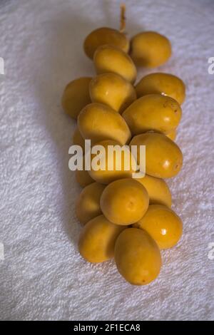 Yellow raw date palm isolated on white background. Freshly harvested dates branch on a white background Stock Photo