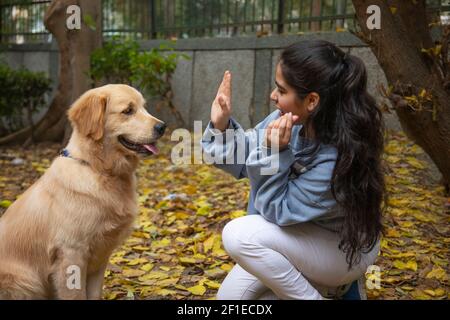 A YOUNG GIRL RAISING HAND IN FRONT OF PET DOG WHILE PLAYING Stock Photo