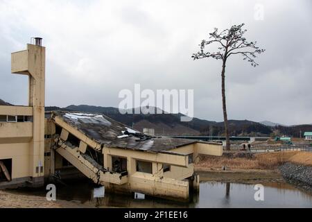 Visitors was past the so-called 'miracle pine' in Rikuzentakata, Iwate Prefecture, Japan on 19 Feb. 2021.  The city used to be famous for thousands of black pines that lined the seafront pictured but were washed away by the March 2011 tsunami. March 11, 2021 marks the 10th anniversary of the earthquake and tsunami that devastated the entire region taking more than 18,000 lives and wiping out hundreds of thousands of homes, businesses and public offices and schools. The miracle pine was the only one that survived the 16-meter-high tsunami wave that engulfed the city. Photographer: Robert Gilhoo Stock Photo