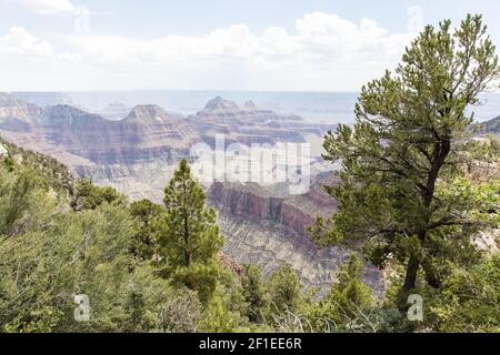 Scenic Views Of The Grand Canyon North Rim Stock Photo