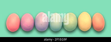 Pastel painted Easter eggs aligned in a row on green panoramic background, Easter web banner Stock Photo