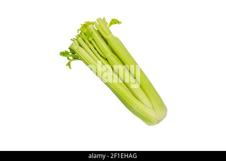Green celery stalks with cutted top isolated on white Stock Photo