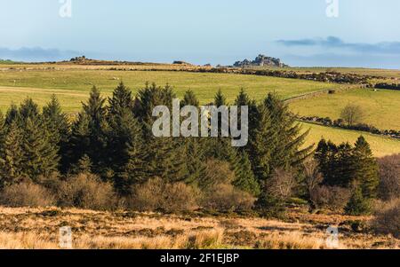 Haytor Rocks, Dartmoor Park, Devon, England Stock Photo