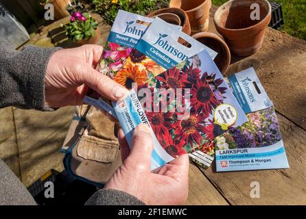 Packets of flower seeds Stock Photo - Alamy