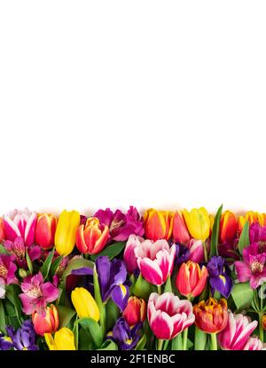 Border with colorful spring flowers. The flower composition isolated on a white background. Mothers Day and spring concept. Copy space. View from abov Stock Photo