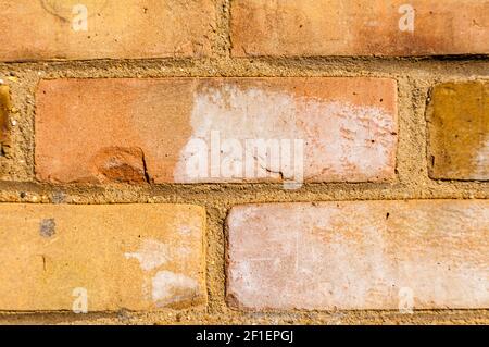 Wall with brickwork under the old destroyed brick of light beige. White mortar, texture, close-up. Stock Photo