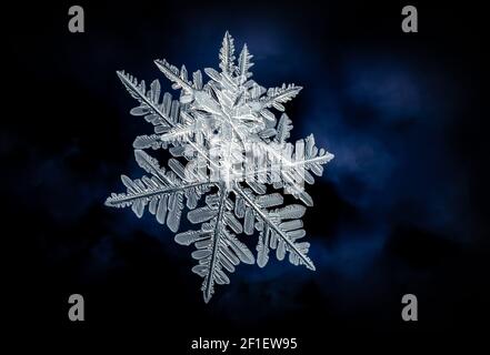 Snowflake close up on a black and blue background Stock Photo