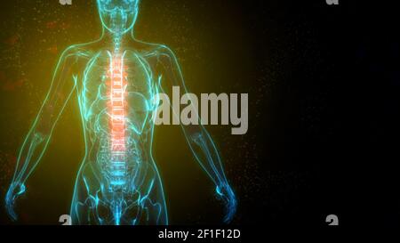 Thoracic, middle part of chine on xray human body, healthcare 3d illustration Stock Photo