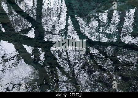 background: water surface of the pond on a rainy day with sky and branches of leafless trees reflected in it Stock Photo