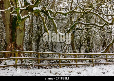 Snow covered landscape with trees near Matlock Bath in the Derbyshire Peak District England UK Stock Photo