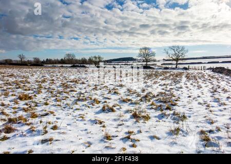 Snow covered landscape with trees at Riber above Starkholmes near Matlock Bath in the Derbyshire Peak District England UK Stock Photo