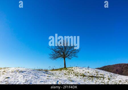 Snow covered landscape with tree and clear blue sky at Starkholmes near Matlock Bath in the Derbyshire Peak District England UK Stock Photo