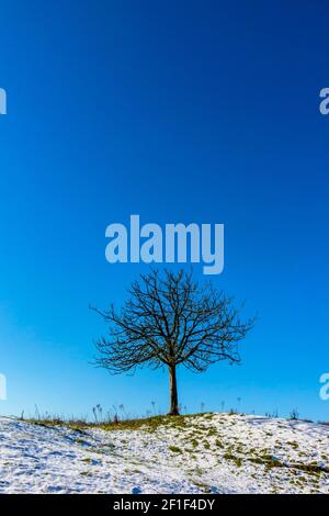 Snow covered landscape with tree and clear blue sky at Starkholmes near Matlock Bath in the Derbyshire Peak District England UK Stock Photo