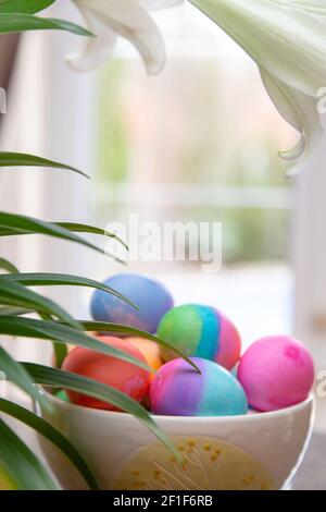 Bowl of brightly colored Easter eggs on diplay in kitchen window Stock Photo