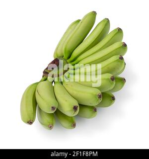 Bunch of green mini bananas isolated on white background Stock Photo