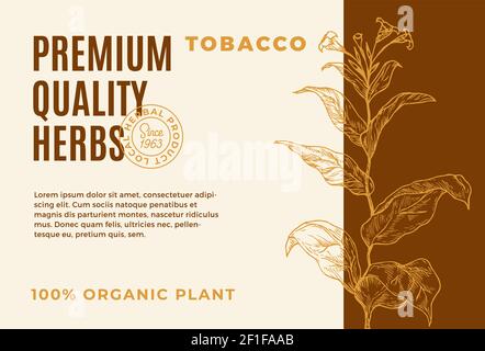 Premium Quality Herbs Abstract Vector Design Label. Modern Typography and Hand Drawn Tobacco Plant Branch with Leaves Sketch Silhouette Background Stock Vector