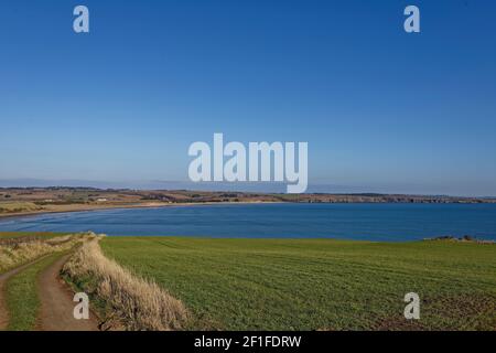 A small track cutting through Farmland and recently sown Fields of grass with the view of Lunan Bay and the Coastline of the East Coast of Scotland. Stock Photo