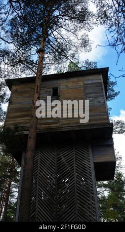 Unusual tower house in the forest. Fancy domus for singleton, and observation tower (crow's nest) Stock Photo