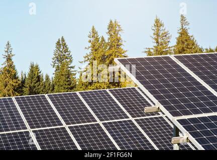 Solar panel collectors in forest, coniferous trees background, clear sky above, closeup detail Stock Photo