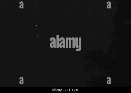 Night sky, Ursa Major constellation visible, silhouette of coniferous tree on right side Stock Photo