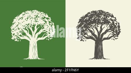 Tree oak in vintage engraving style. Nature symbol vector illustration Stock Vector