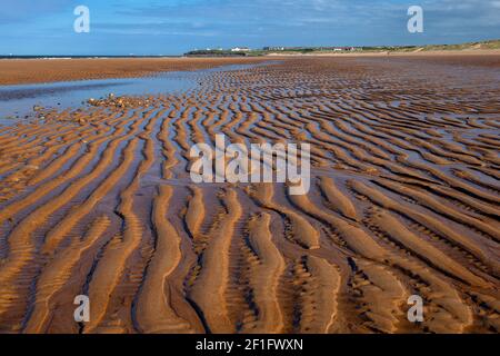 low tide on Seaton Sluice beach, Seaton Sluice, Northumberland, England, United Kingdom Stock Photo