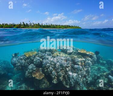 Coral reef and tropical island, seascape over and under water, Pacific ocean, Oceania Stock Photo
