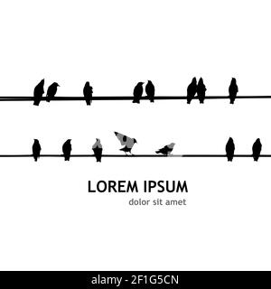 birds silhouette on electrical wires Stock Vector Image & Art - Alamy